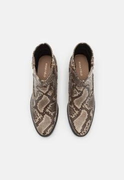 Anna Field Cowboy-/Bikerlaarsjes - Multicoloured 11 Anna Field Cowboy-/Bikerlaarsjes - Multicoloured -Anna Field 4b872722a054414b94666efa8464626d